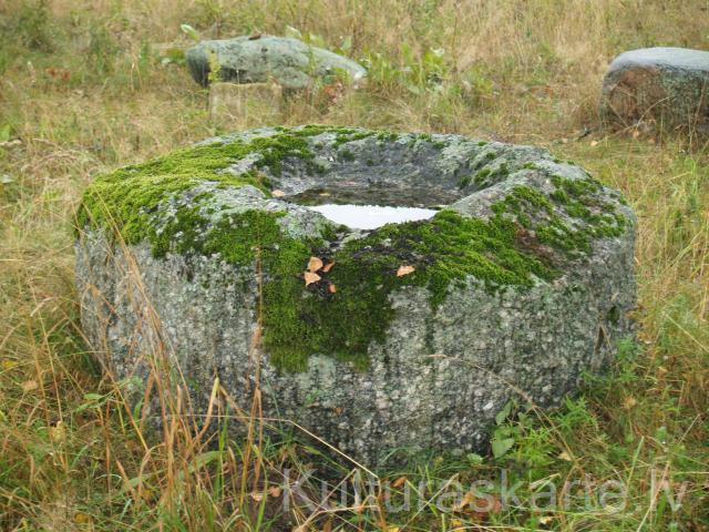 Tūjas dobumakmens. Foto J. Urtāns